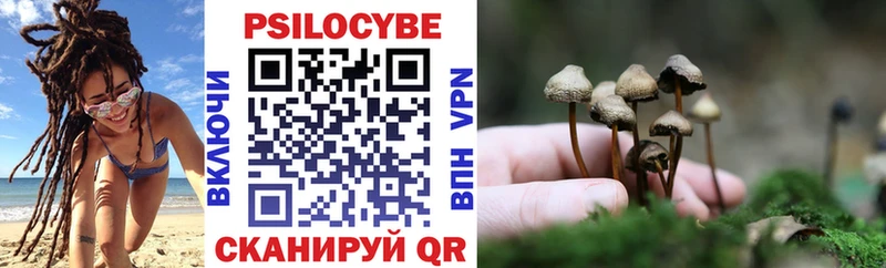 Купить закладки  Сердобск  Галлюциногенные грибы Psilocybe 